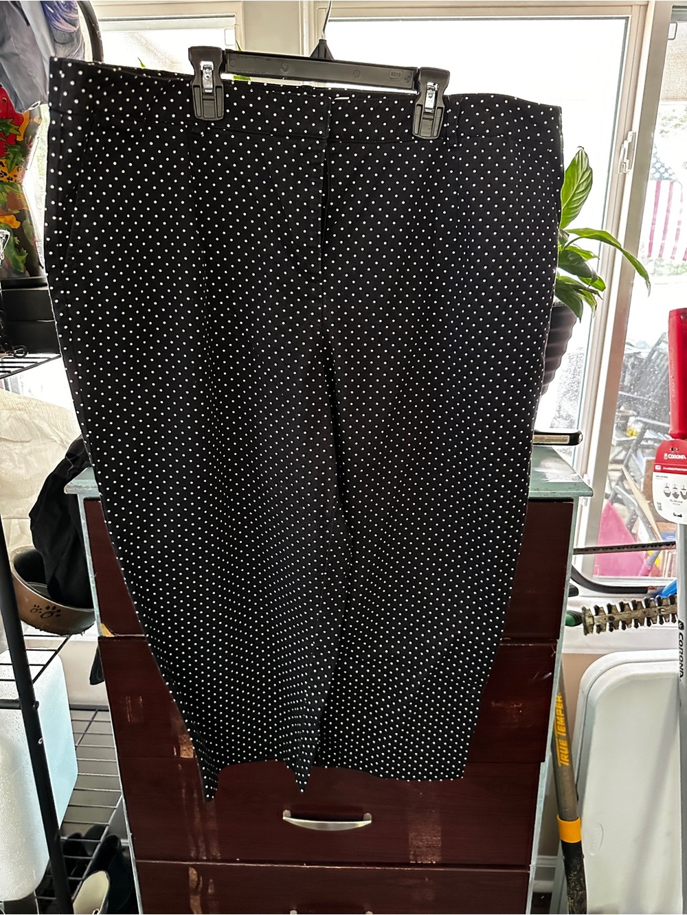 Kim Rogers Black Polka Dot Capris